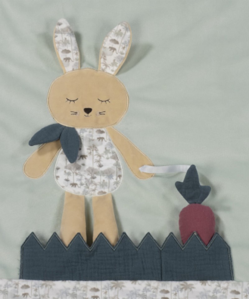 משטח פעילות RABBIT