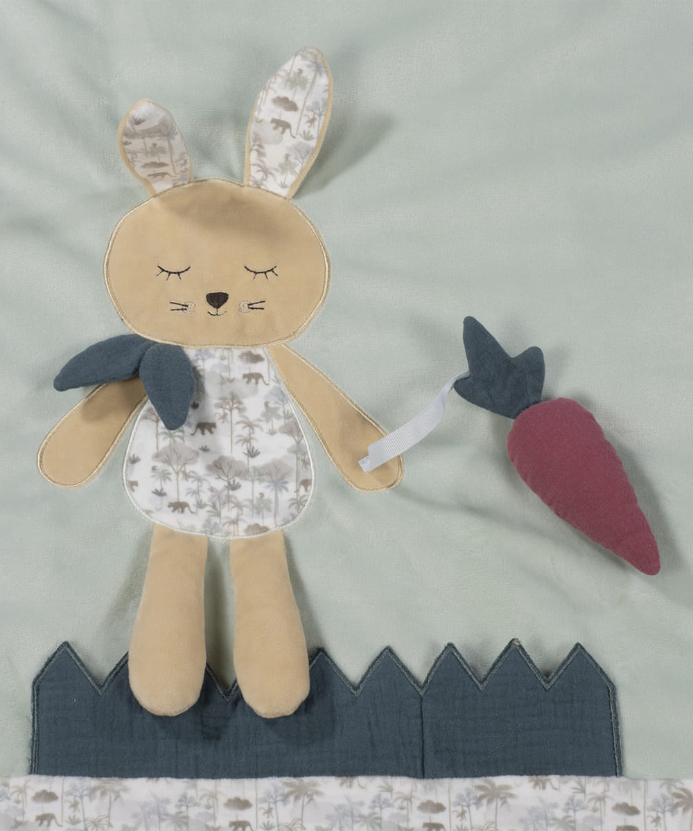 משטח פעילות RABBIT
