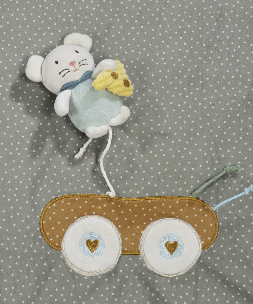משטח פעילות MOUSE