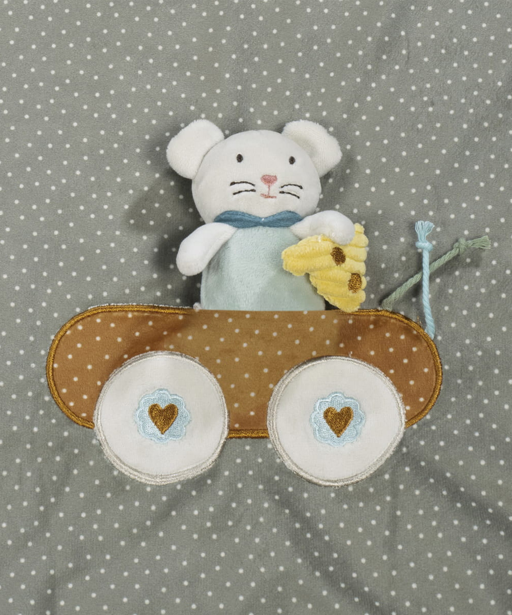 משטח פעילות MOUSE